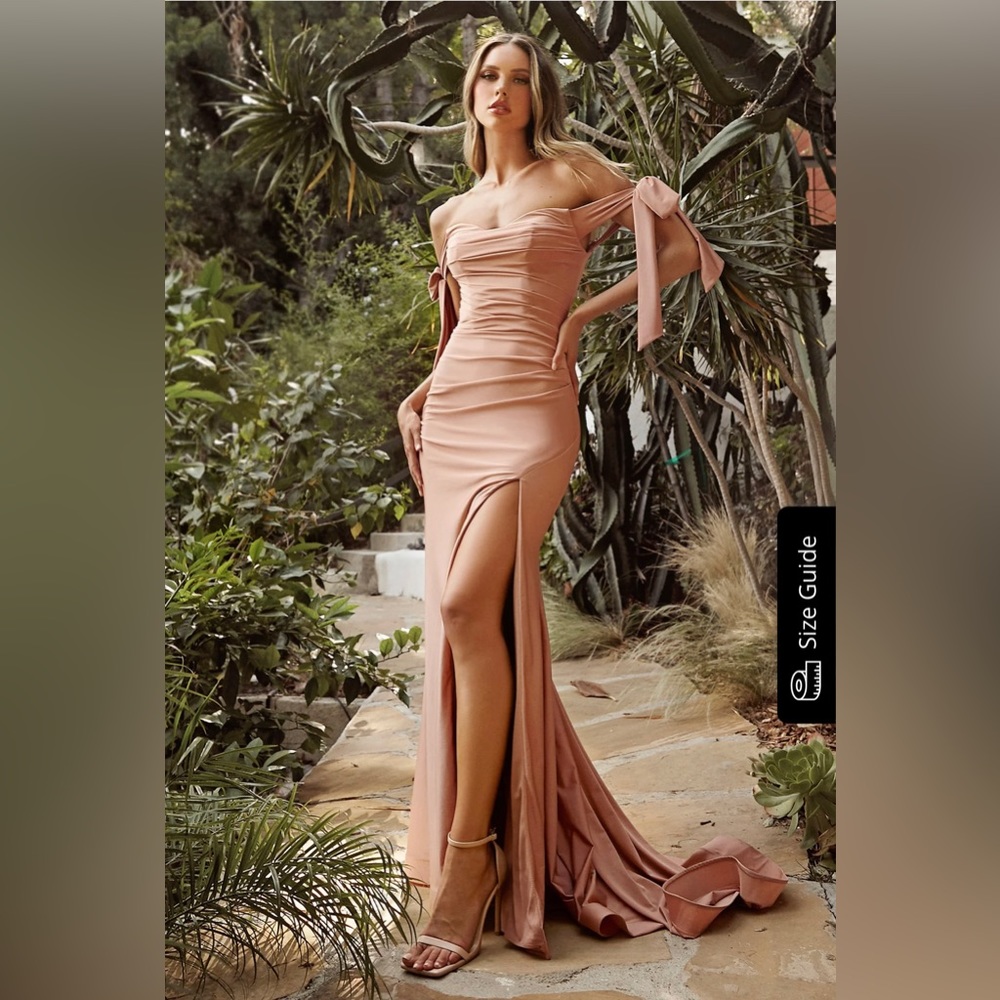 Cinderella Divine Collection evening gown.